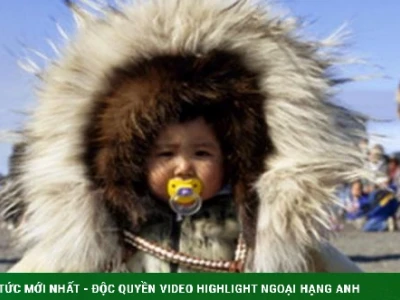 Inuit là gì? Khám phá văn hóa và con người dân tộc Inuit