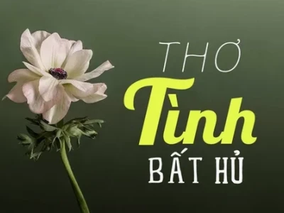 Khám Phá Thế Giới Thơ Trữ Tình: Tuyển Tập Thơ Hay và Ý Nghĩa
