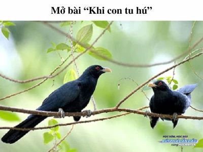 Khi con tu hú gọi bầy: Nỗi niềm người tù và bức tranh mùa hè