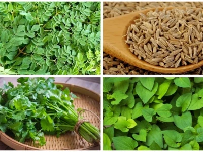 Mẹo Dân Gian Chữa Sốt Siêu Vi Hiệu Quả Tại Nhà
