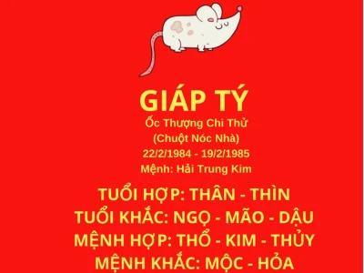 Nam Nữ Sinh Năm 1984 Tuổi Giáp Tý Mệnh Gì, Hợp Màu Nào?