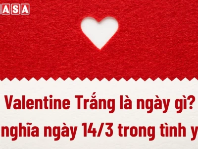 Ngày 14/3 là ngày gì? Khám phá nguồn gốc và ý nghĩa Valentine Trắng