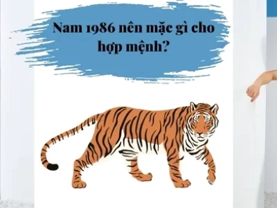 Người sinh năm 1986 hợp màu gì và lựa chọn trang phục 2026