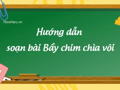 Soạn bài Bầy chim chìa vôi: Phân tích chi tiết và bài học ngữ văn lớp 7
