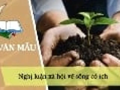 Sống có ý nghĩa là gì? Khám phá hành trình kiến tạo giá trị đích thực