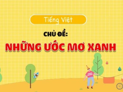 Thuyền trưởng và bầy ong: Bài học về sự đoàn kết và kỷ luật