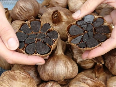 Tỏi đen có tác dụng gì? Khám phá lợi ích sức khỏe toàn diện