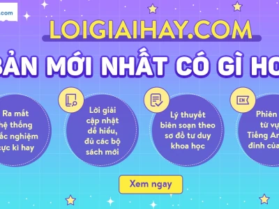 Tủ là gì? Khám phá định nghĩa và các loại tủ phổ biến
