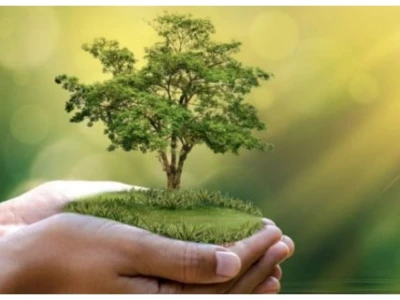 Tuổi Mão sinh năm 2011 mệnh gì? Khám phá vận mệnh và màu sắc hợp phong thủy