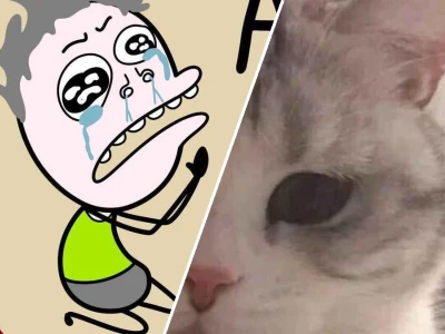 Tuyển tập hình ảnh meme về các tình huống dở khóc dở cười năm 2026